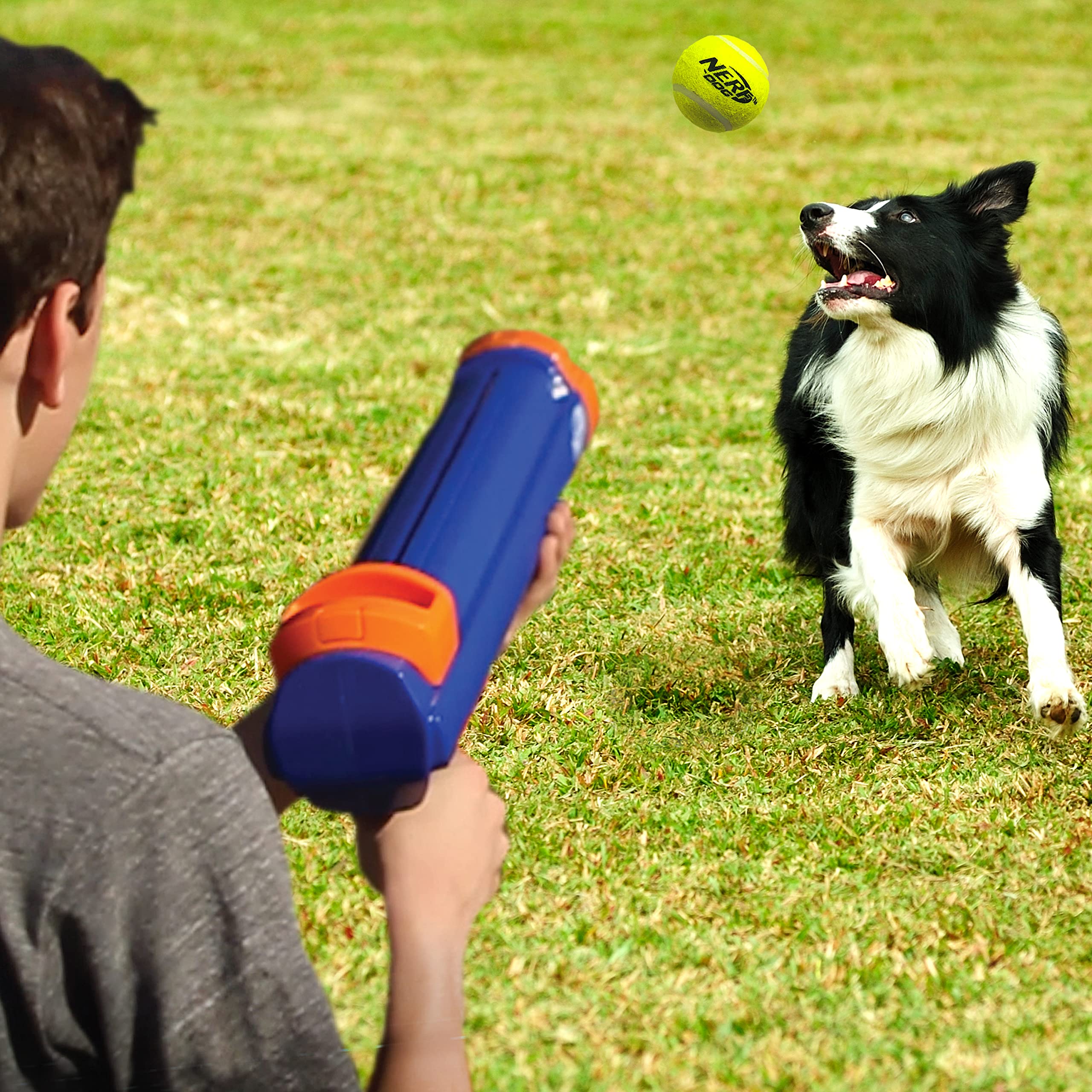 Nerf Dog Tennis Ball Blaster safety design emphasizes secure play.
