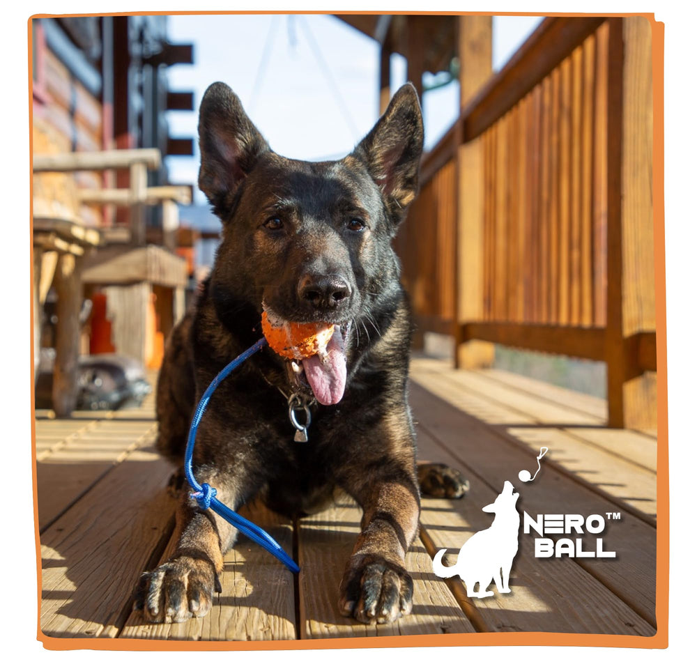 The Nero Ball Classic bonding session captures reward-based play moments.