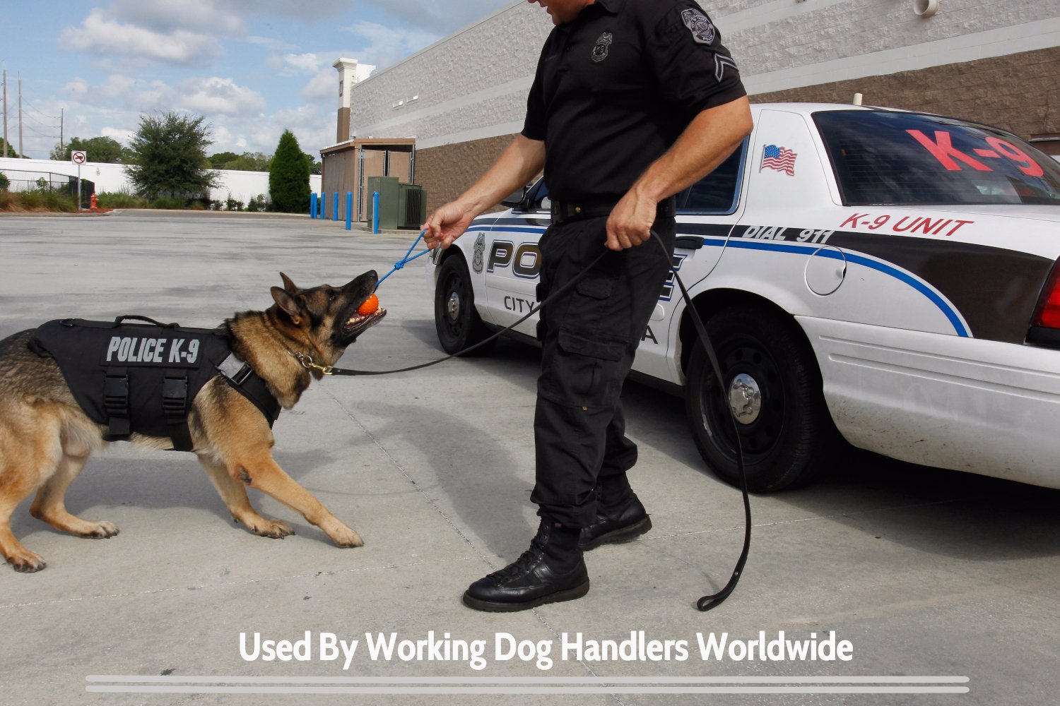 The Nero Ball Classic dog-tug training image illustrates versatile release and tug play.