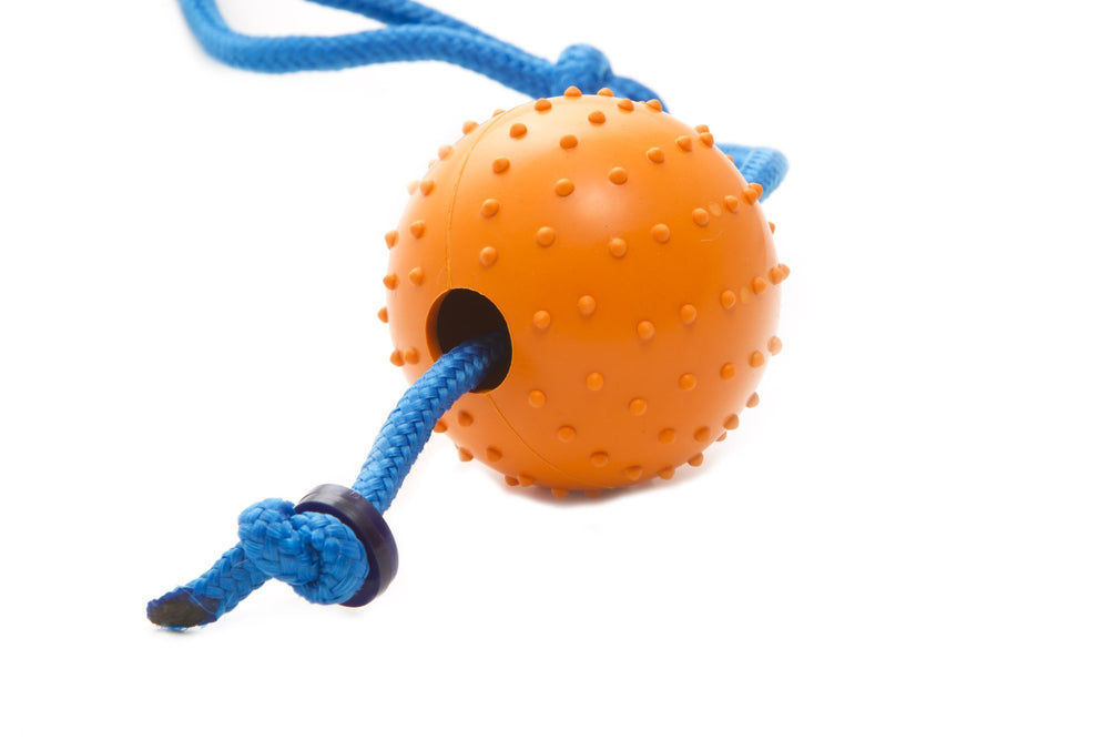 The Nero Ball Classic donation-k9-units image demonstrates support for K-9 units.