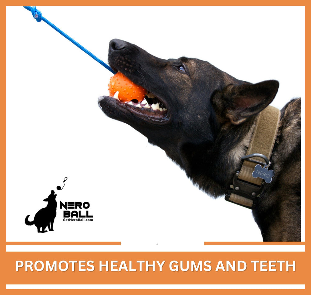 The Nero Ball Classic police-k9 training use is captured in action.