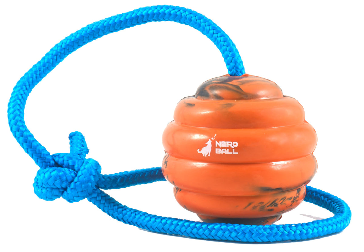 The Nero Ball Pro on rope ready for long-distance fetch training.