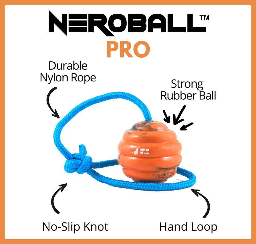 Nero Ball Pro on rope being thrown for obedience rewards.