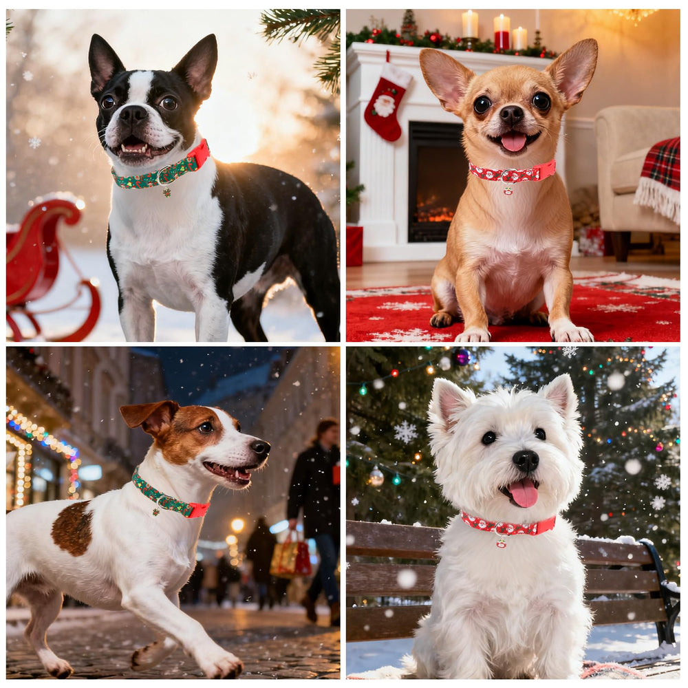 NESAYVER adjustable collar sizes XS-S-M ensure comfortable, customizable fit.