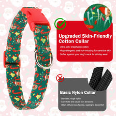 NESAYVER collar with D-ring enables secure leash attachment during adventures.