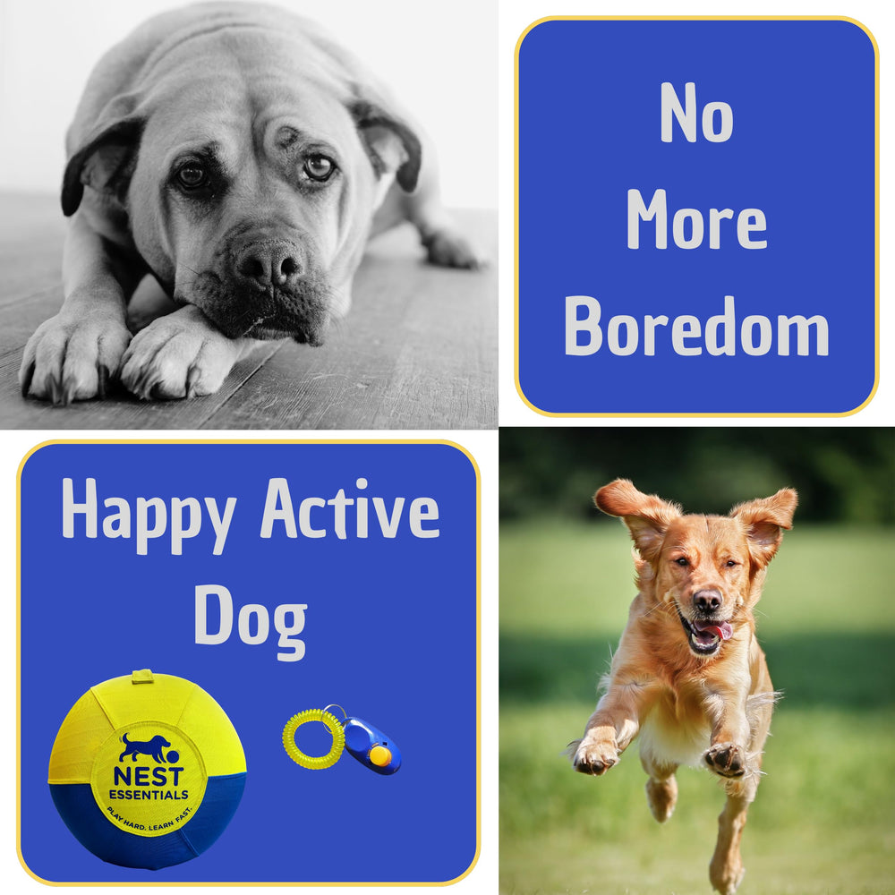 NEST ESSENTIALS Herding Ball designed for active breeds aiding energy channeling