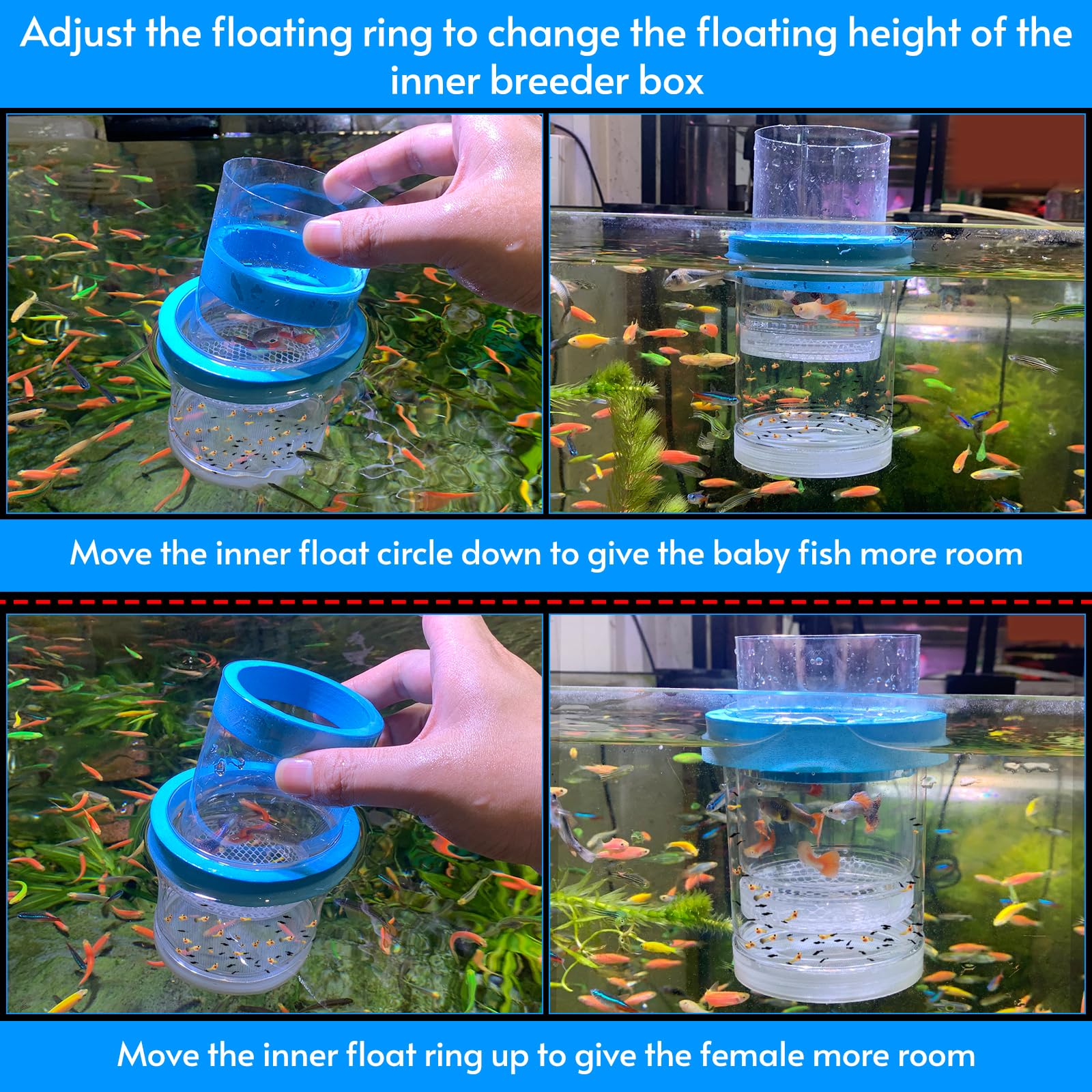 NestBasics baby fish feeder tubes included for feeding and cleaning