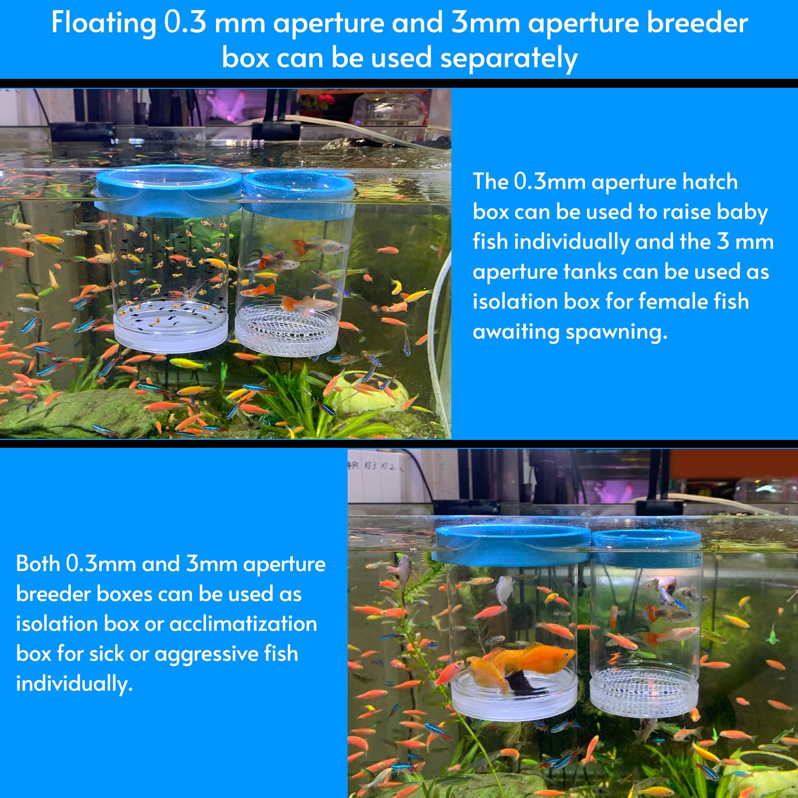 NestBasics suspension rings demonstrate secure tank mounting option