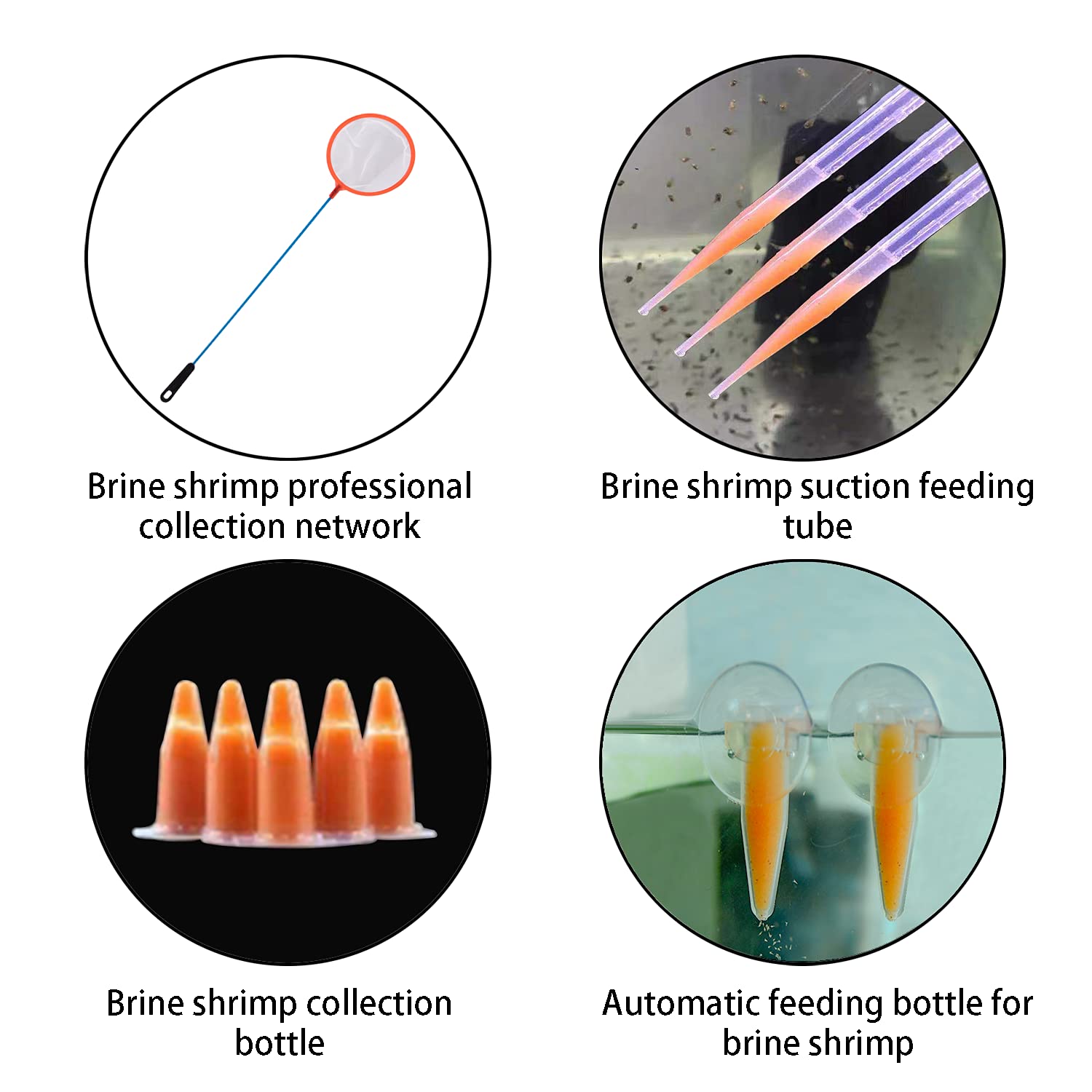 NestBasics brine shrimp feeders for fish hobbyists