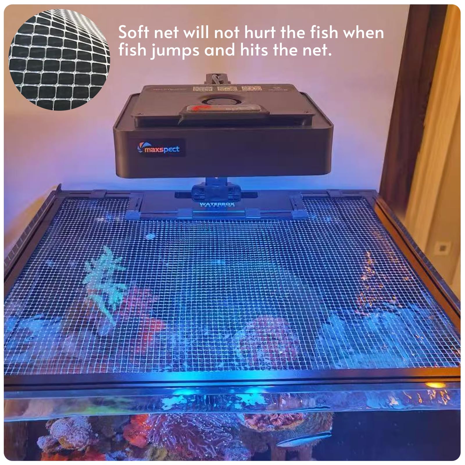 NestBasics soft mesh protects fish from impact when they bump the lid during jumps.
