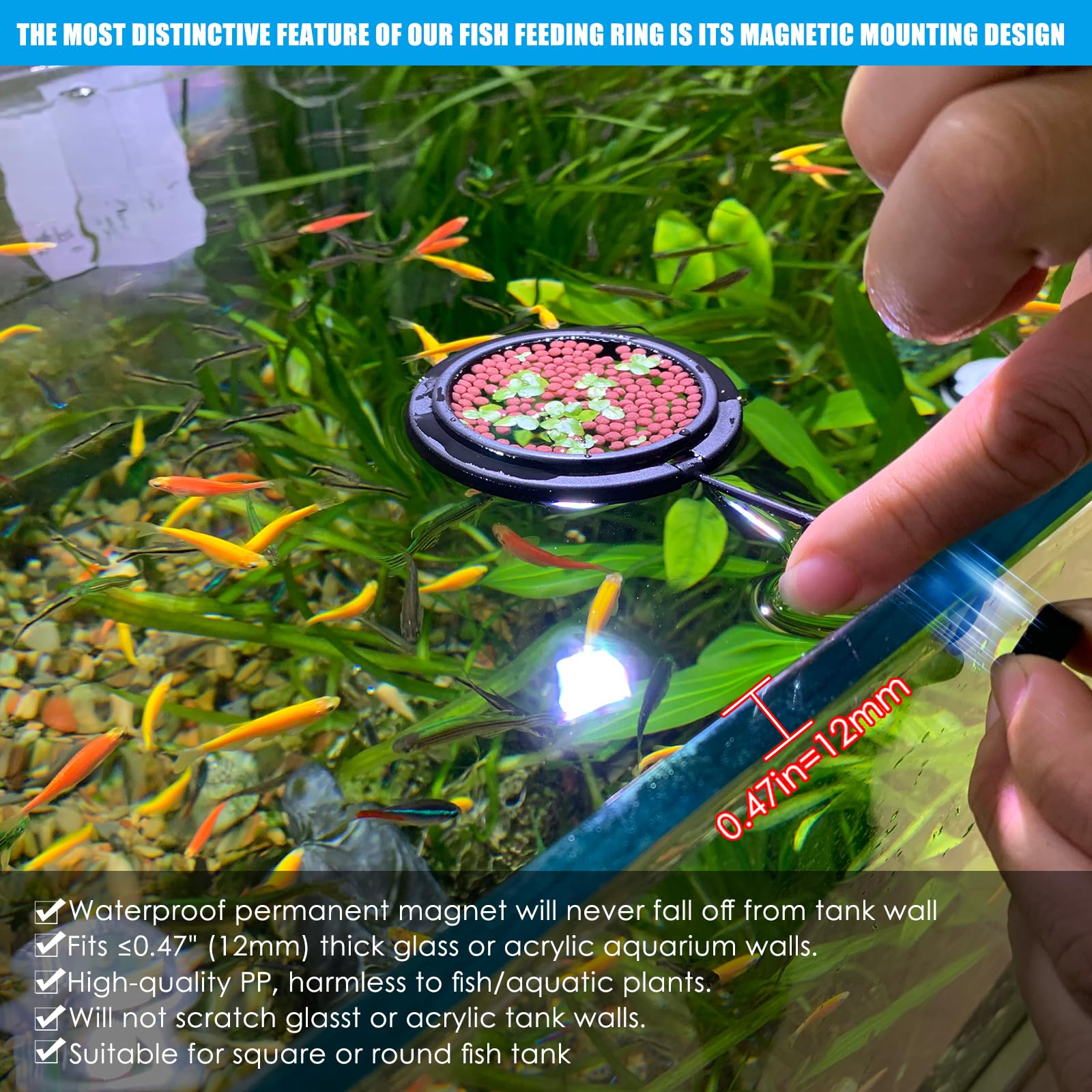 NestBasics edge-guard design highlights a raised edge that traps food for focused feeding.