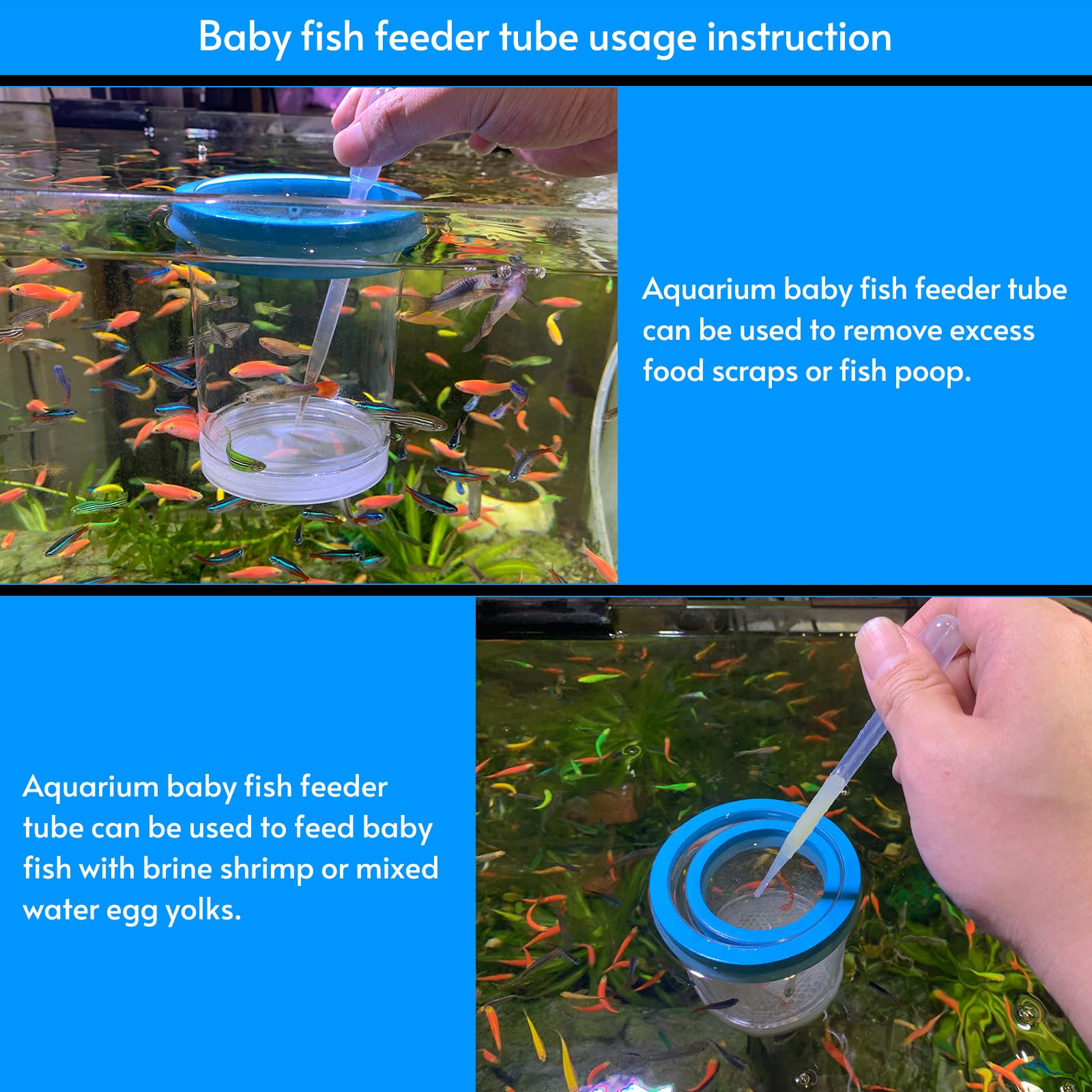 NestBasics acclimation-use box aiding safe new arrivals in tanks