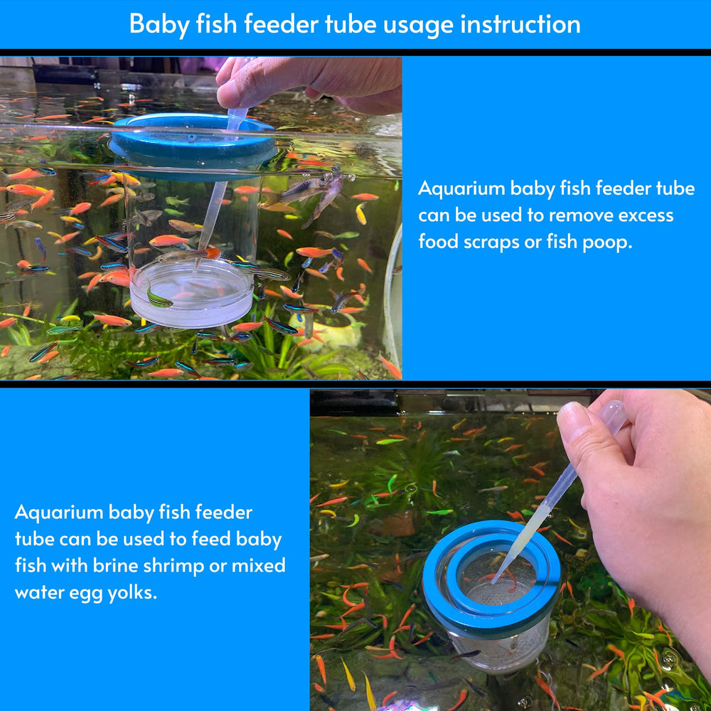 NestBasics acclimation-use box aiding safe new arrivals in tanks