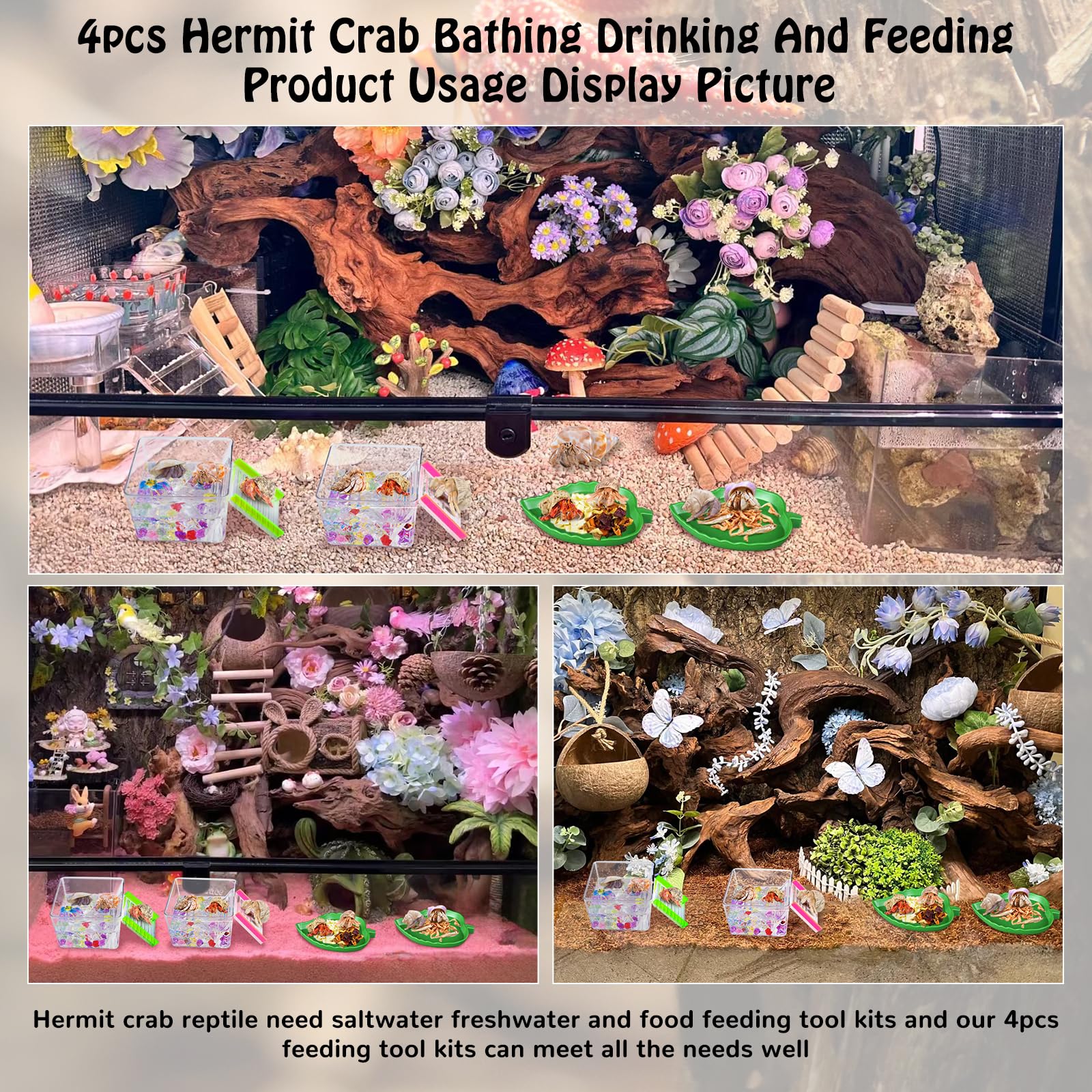 NestBasics colorful decorative stones enhance terrarium aesthetics and provide tactile stepping options.