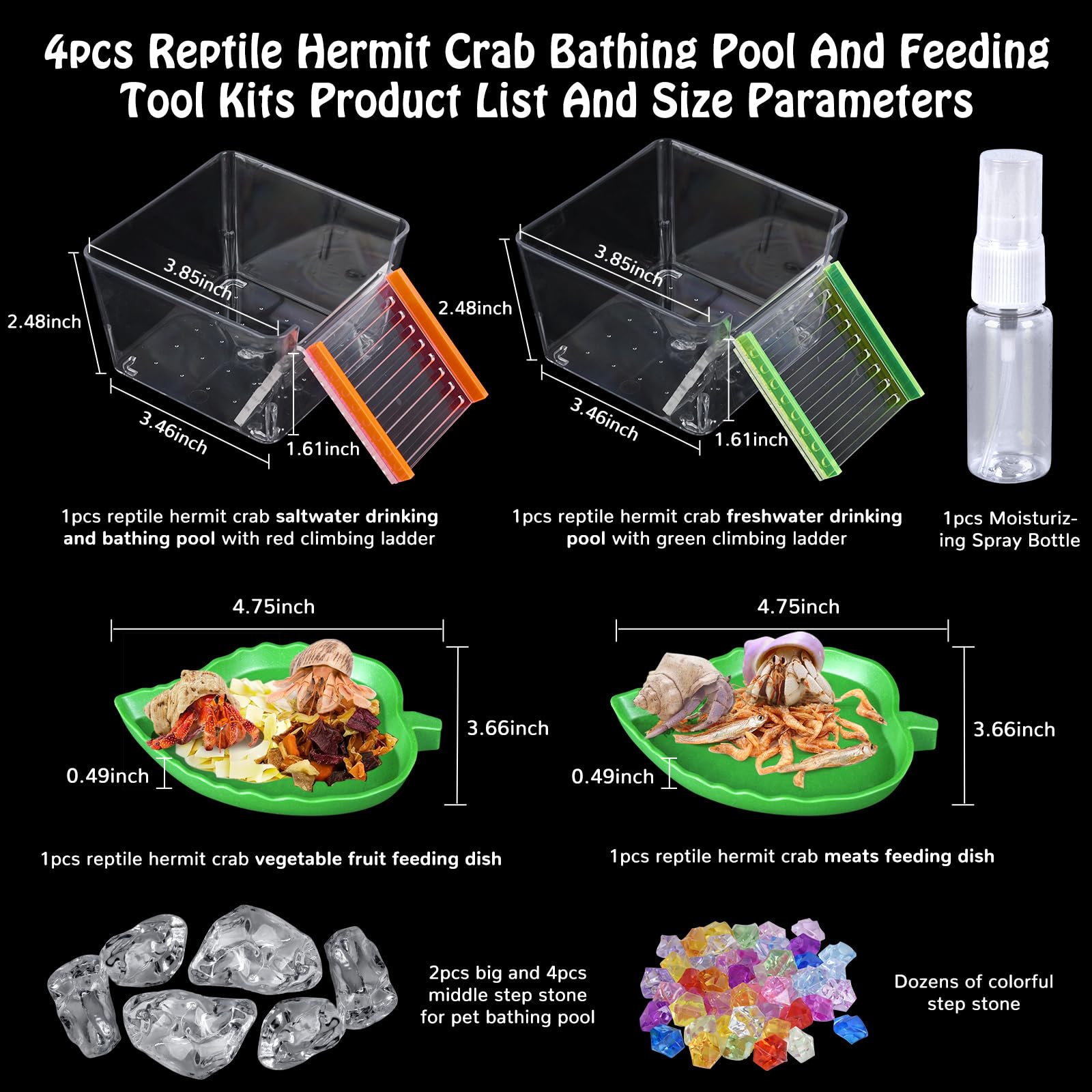 NestBasics hermit crab drinking pool with green ladder promotes accessible hydration in terrarium setups.