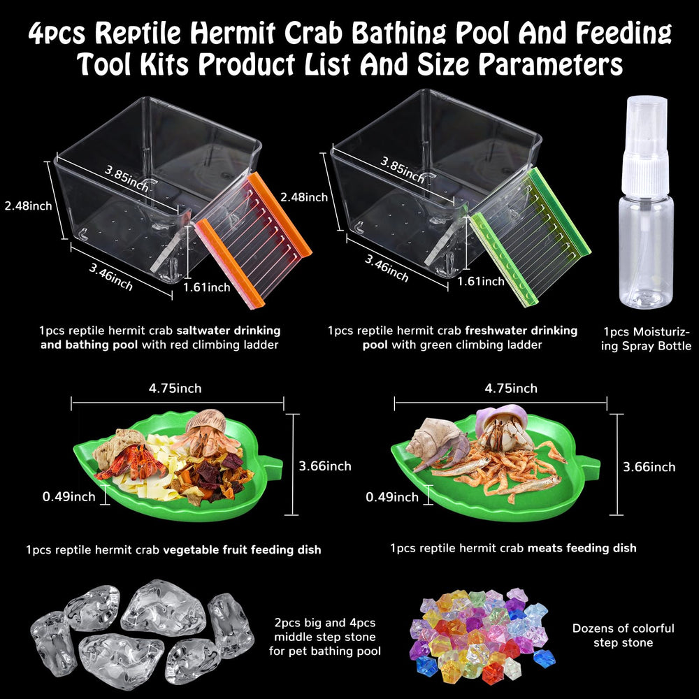 NestBasics hermit crab drinking pool with green ladder promotes accessible hydration in terrarium setups.