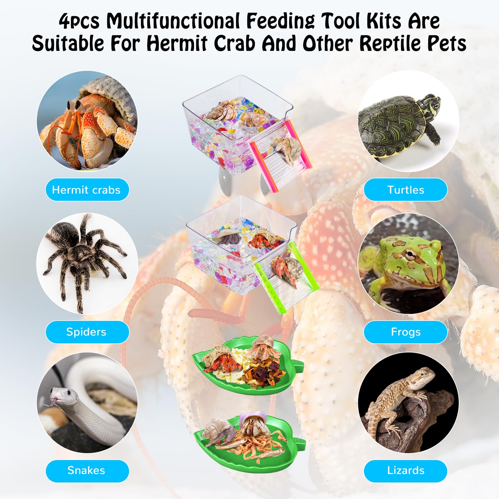 NestBasics humidifying spray bottle helps maintain humidity for hermit crab habitats.