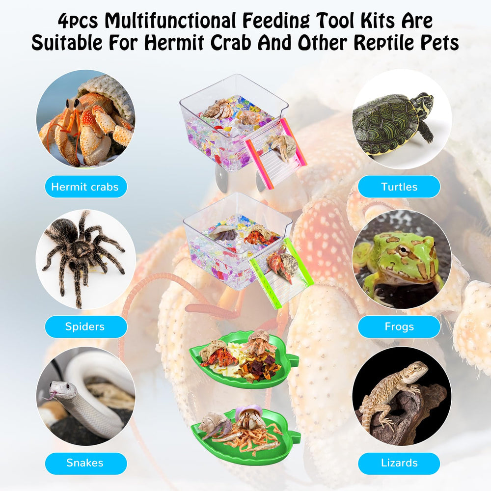NestBasics humidifying spray bottle helps maintain humidity for hermit crab habitats.