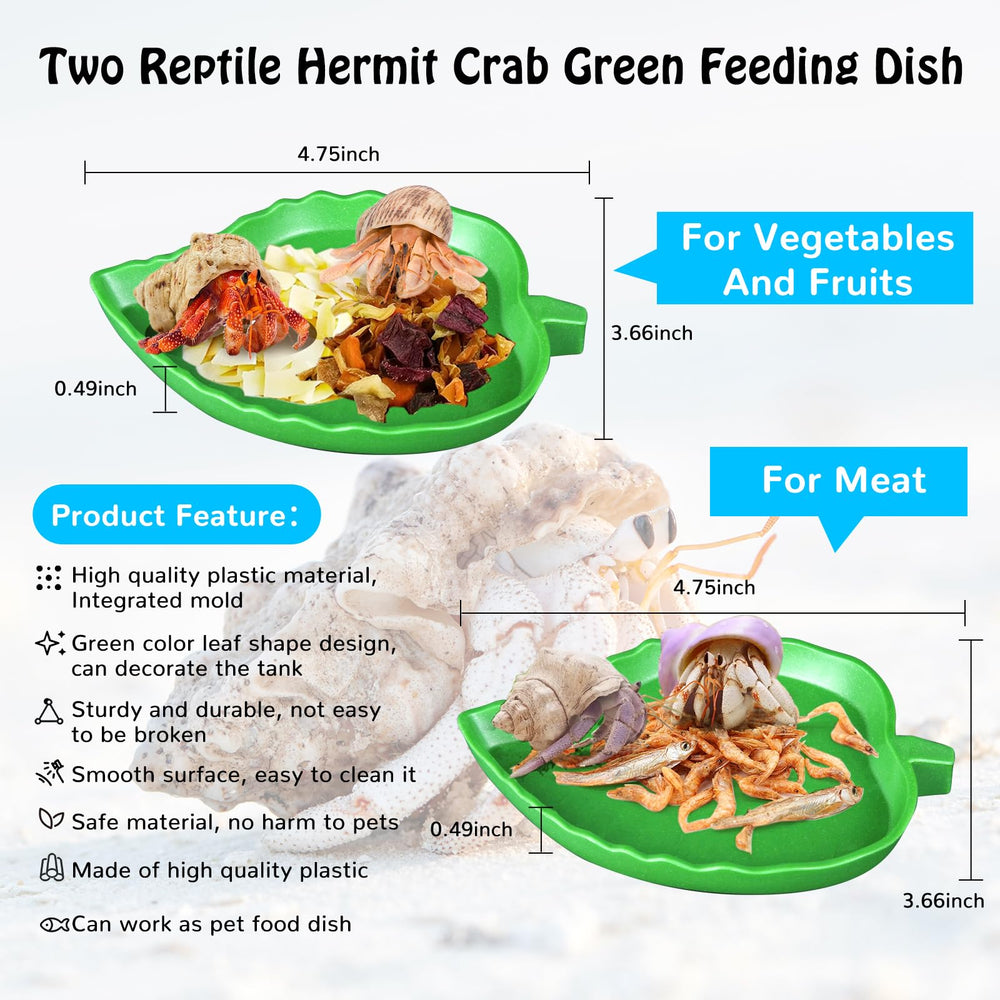 NestBasics green leaf meat feeding dish helps organize meals and reduce competition.