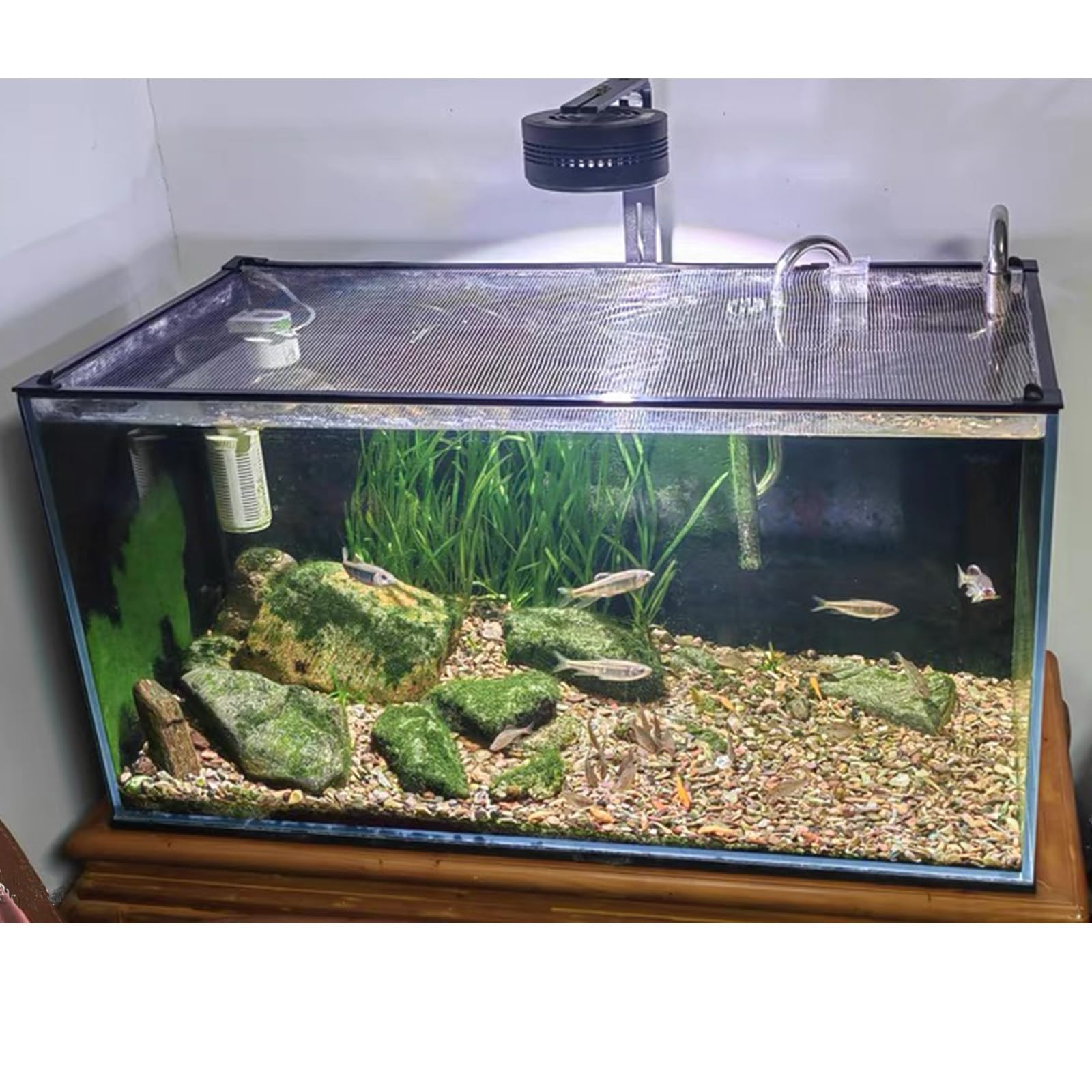NestBasics light-transmitting mesh lid keeps tank visibility high.