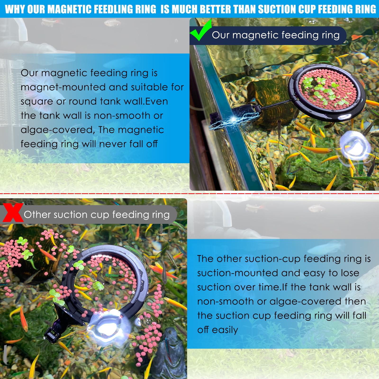 NestBasics magnetic feeding ring mount stays secure on algae-prone tank walls.
