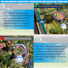 NestBasics magnetic feeding ring mount stays secure on algae-prone tank walls.