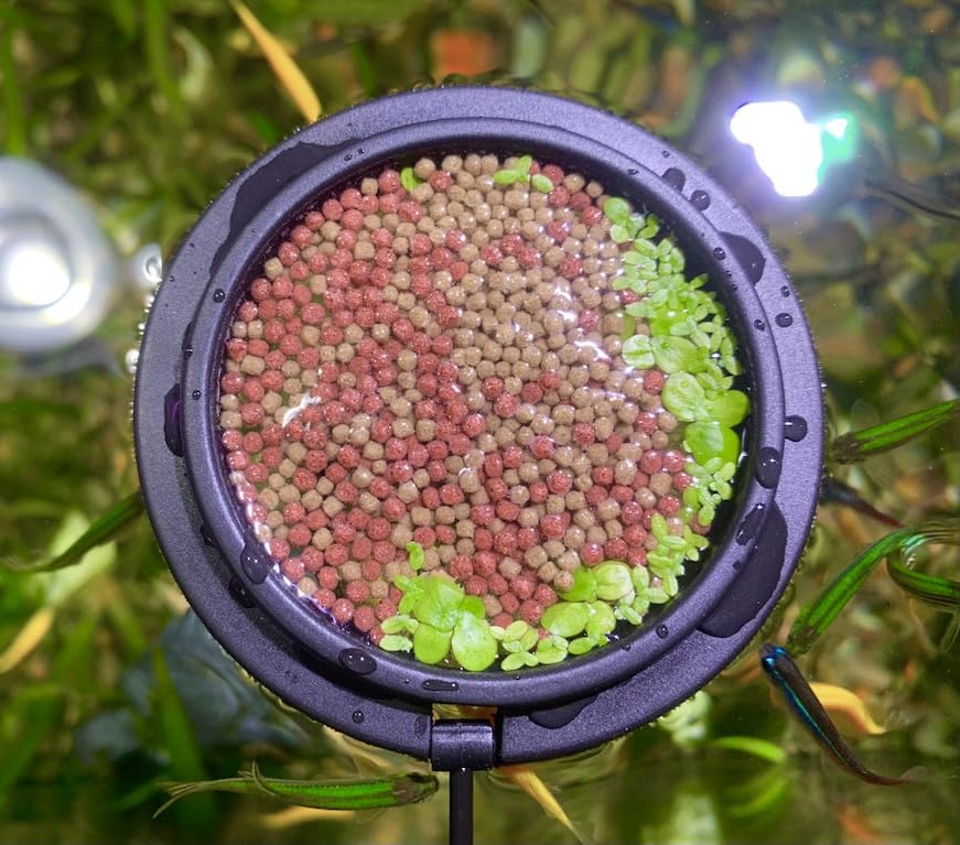 NestBasics magnetic feeding ring setup shows quick installation for tidy feeding.