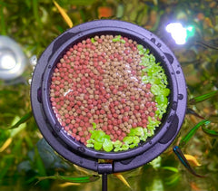 NestBasics magnetic feeding ring setup shows quick installation for tidy feeding.