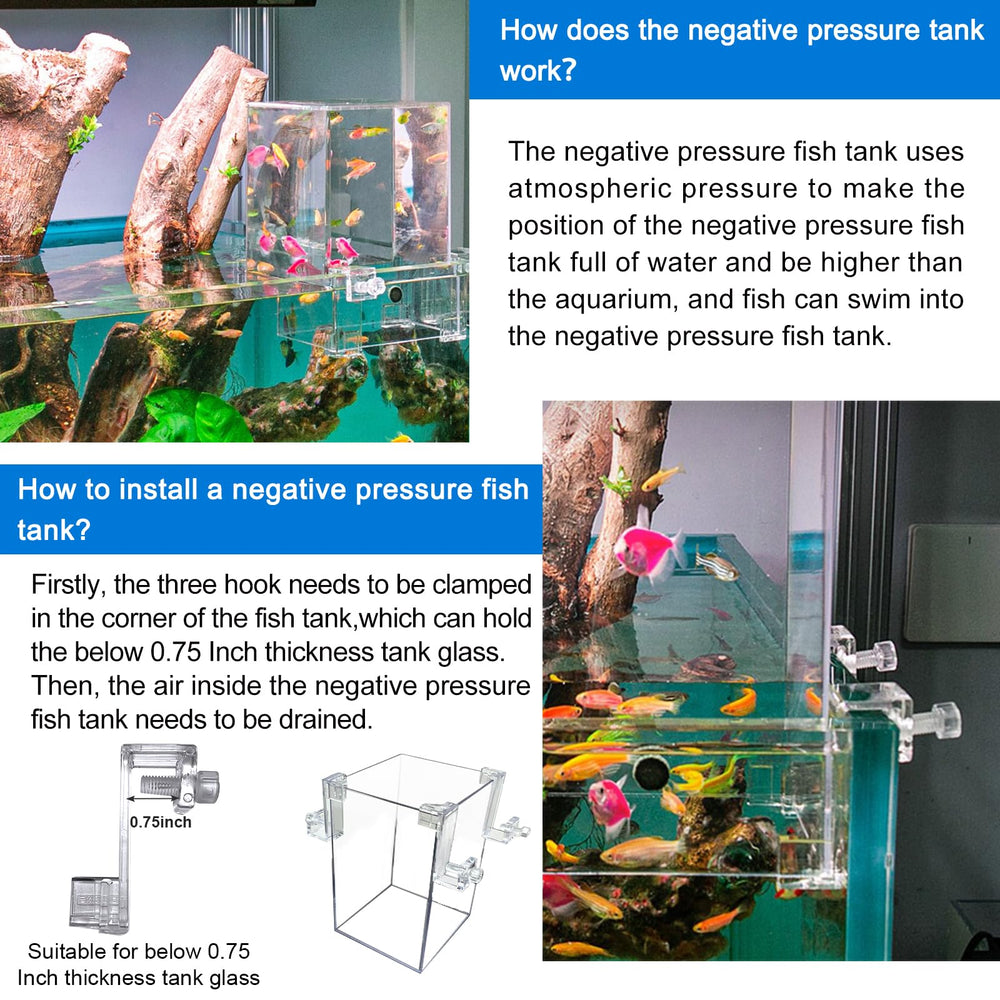NestBasics negative pressure tank top view emphasizing transparent lid for monitoring.
