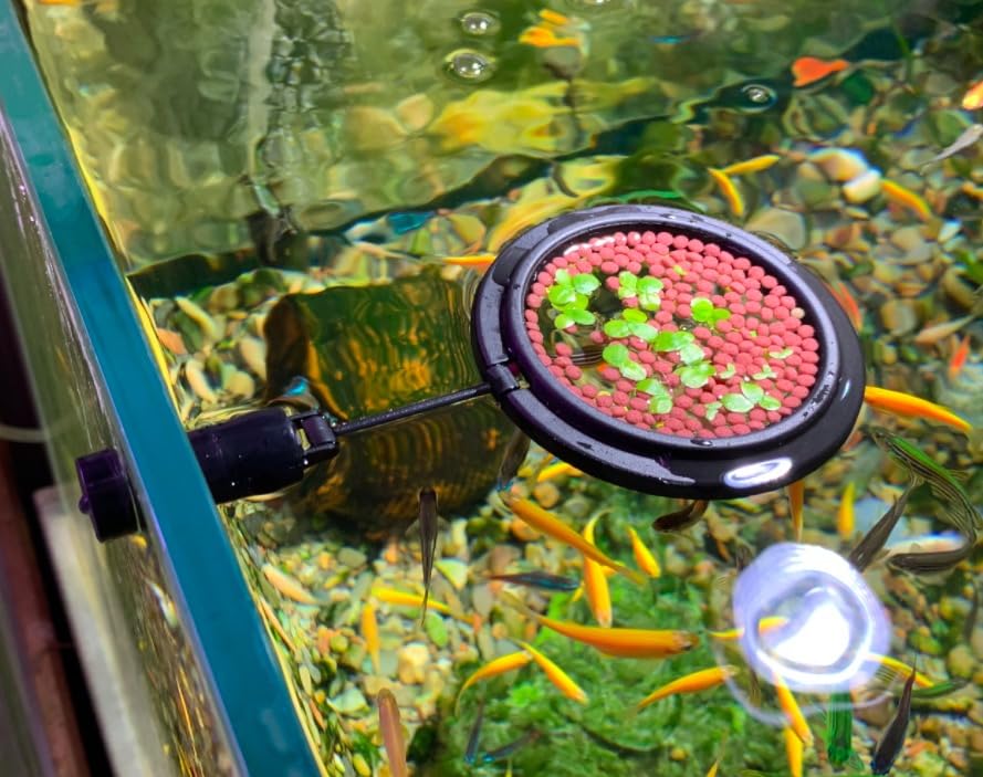 NestBasics tank-clean-maintenance highlights easier upkeep with less messy filters.