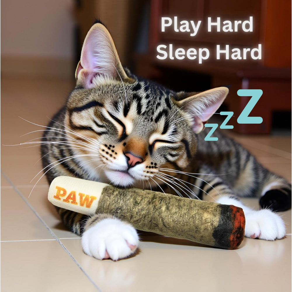 Nestpark Cat Doobie gift-ready box suggesting a thoughtful gift for cat lovers