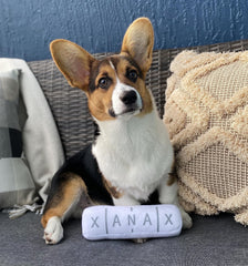 Nestpark Chill Pup Toy crinkle sound enhances sensory play during fetch and chew sessions.