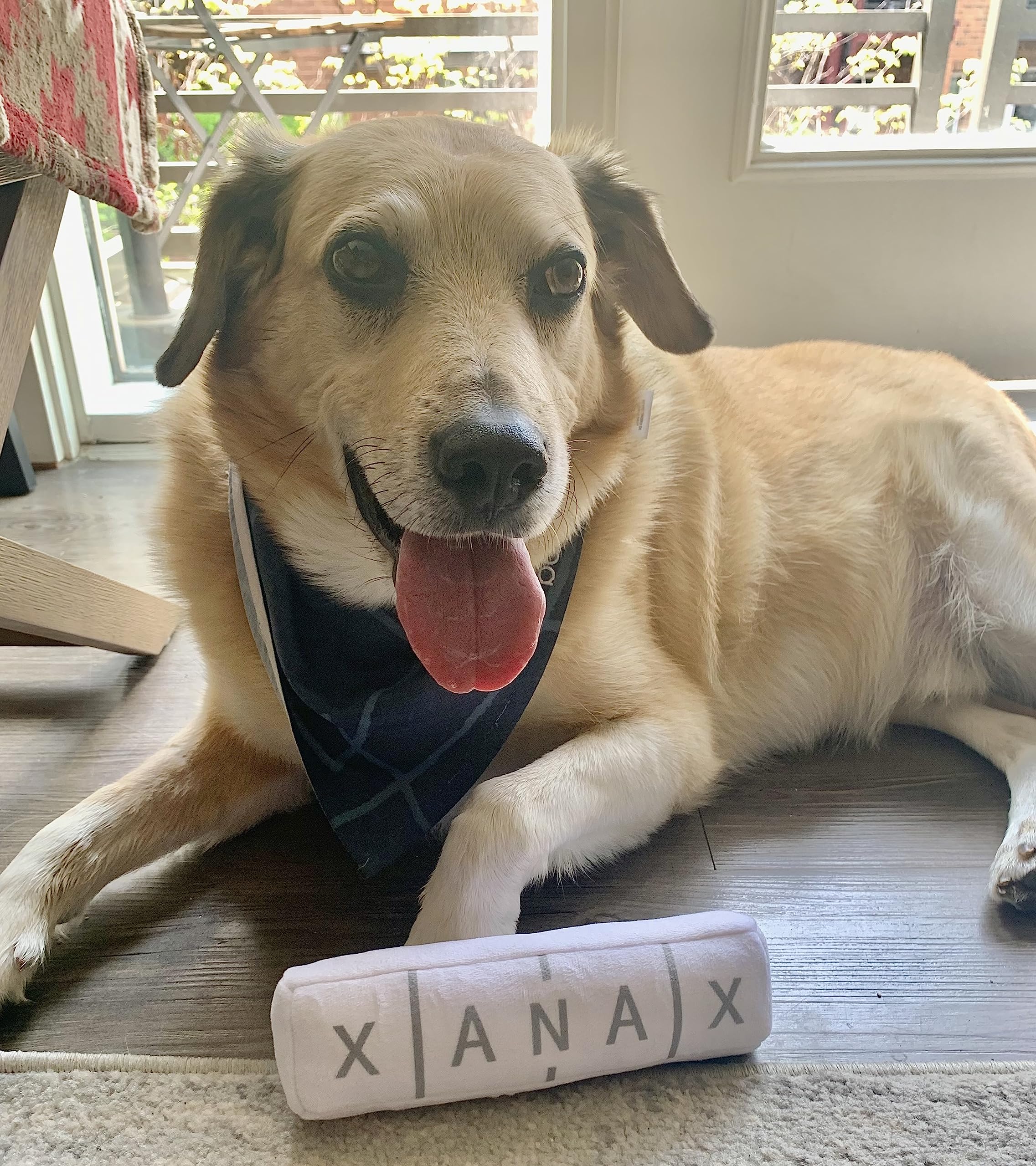 Nestpark Chill Pup Toy dog playtime invites engagement and laughter during daily routines.