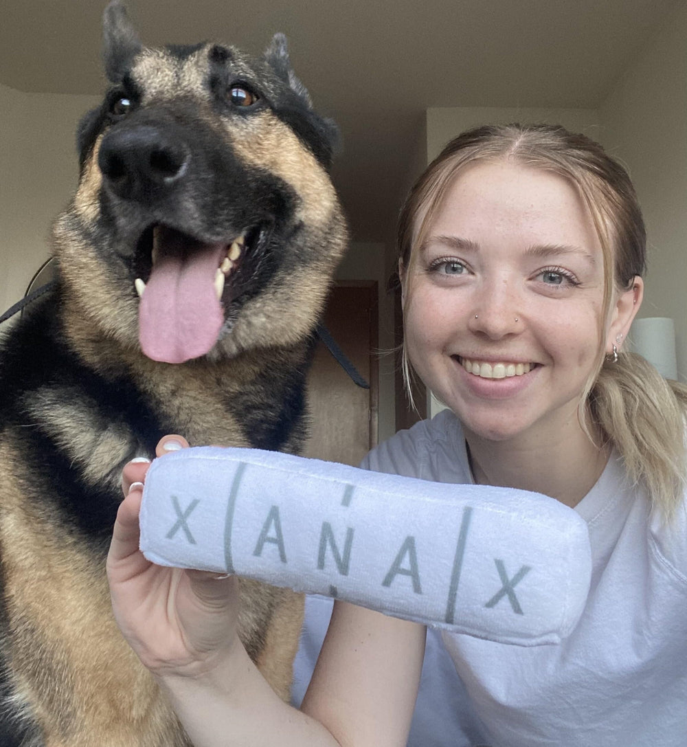 Nestpark Chill Pup Toy durable plush with inner mesh strengthens longevity for tough chewers.