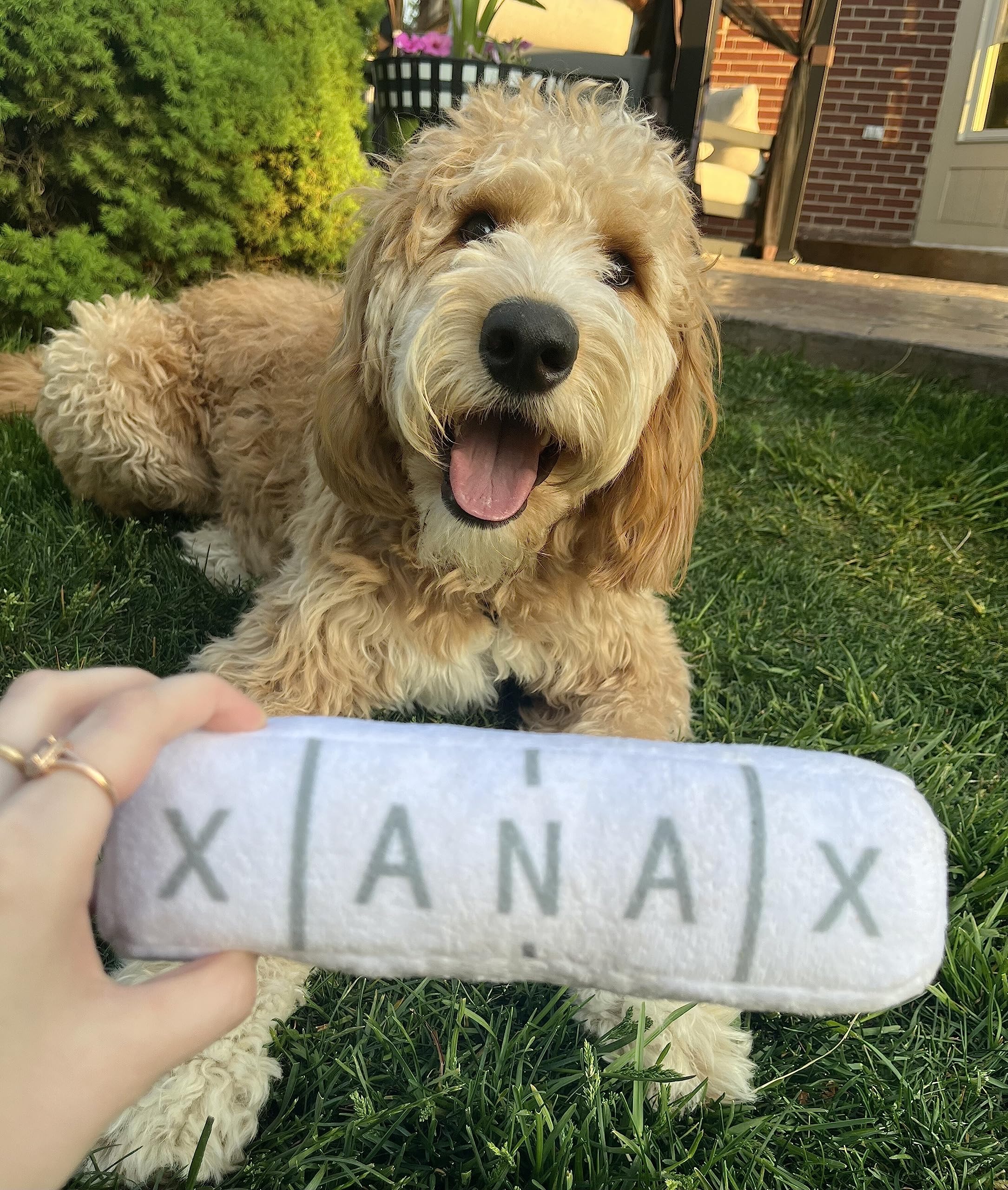 Nestpark Chill Pup Toy eight-inch size is ideal for dogs of all sizes.