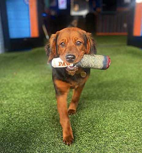 Nestpark Doggy Doobie customer-care supports shoppers with satisfaction help.