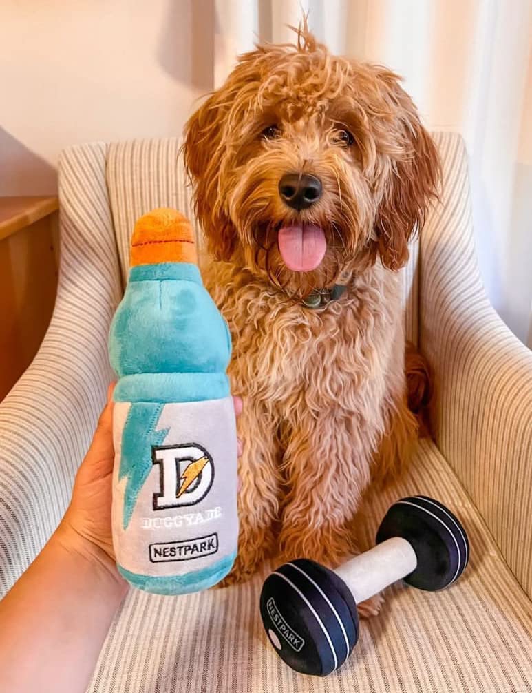 Nestpark Doggy Dumbbell toy in action for engaging indoor workouts with your dog