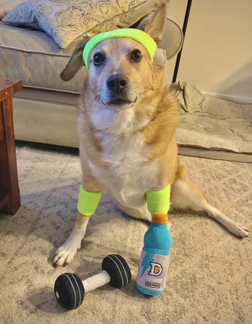 Nestpark 8.5 inch dog toy ready for dogs of all sizes