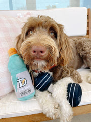 Nestpark funny dog toy as a unique gift for dog lovers on birthdays