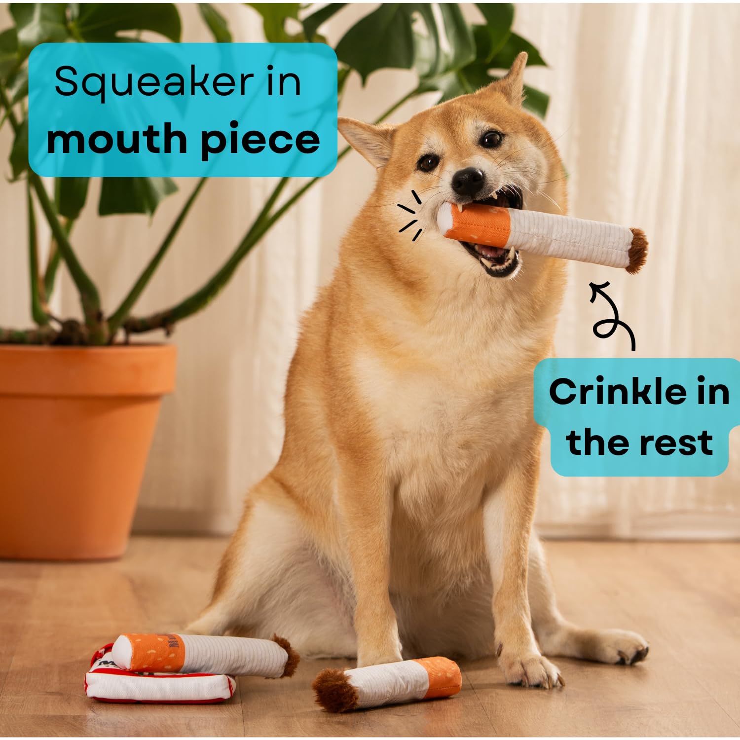 Nestpark Muttboro Treat-hide toy invites sniff-and-seek fun and problem solving.