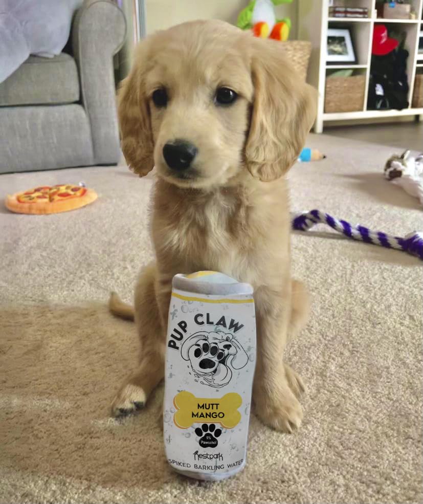 Nestpark parody claw plush toy in tropical pack colors for dogs.