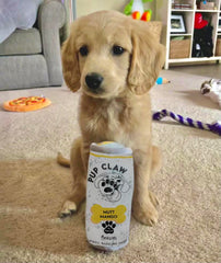 Nestpark parody claw plush toy in tropical pack colors for dogs.