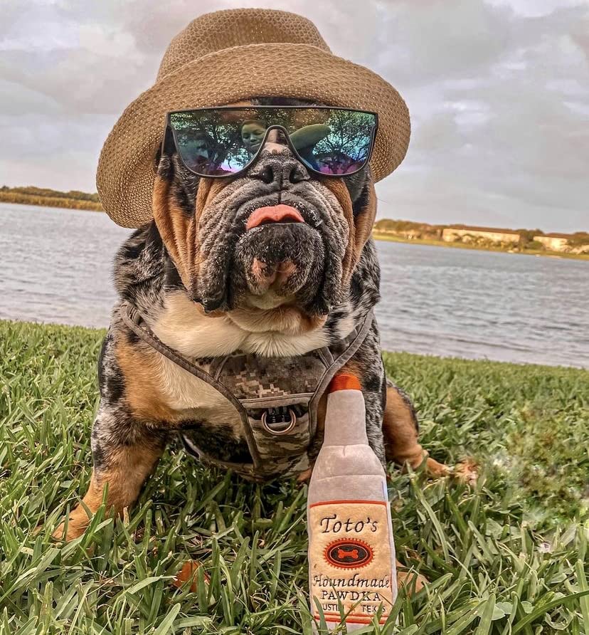 Nestpark Toto's Plush Squeaky Crinkle Toy in action during dog playtime