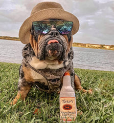 Nestpark Toto's Plush Squeaky Crinkle Toy in action during dog playtime