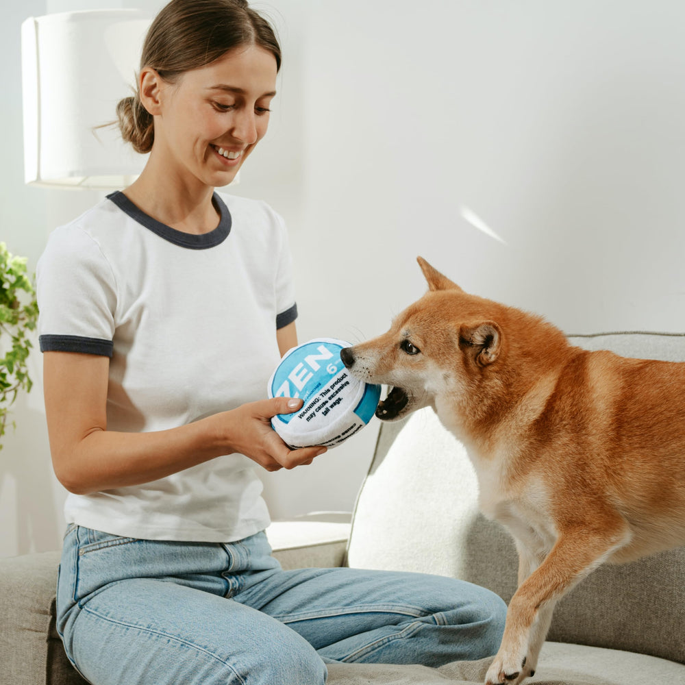 Nestpark Zen Pupper Deckies crinkle texture shot highlights sensory fun for dogs
