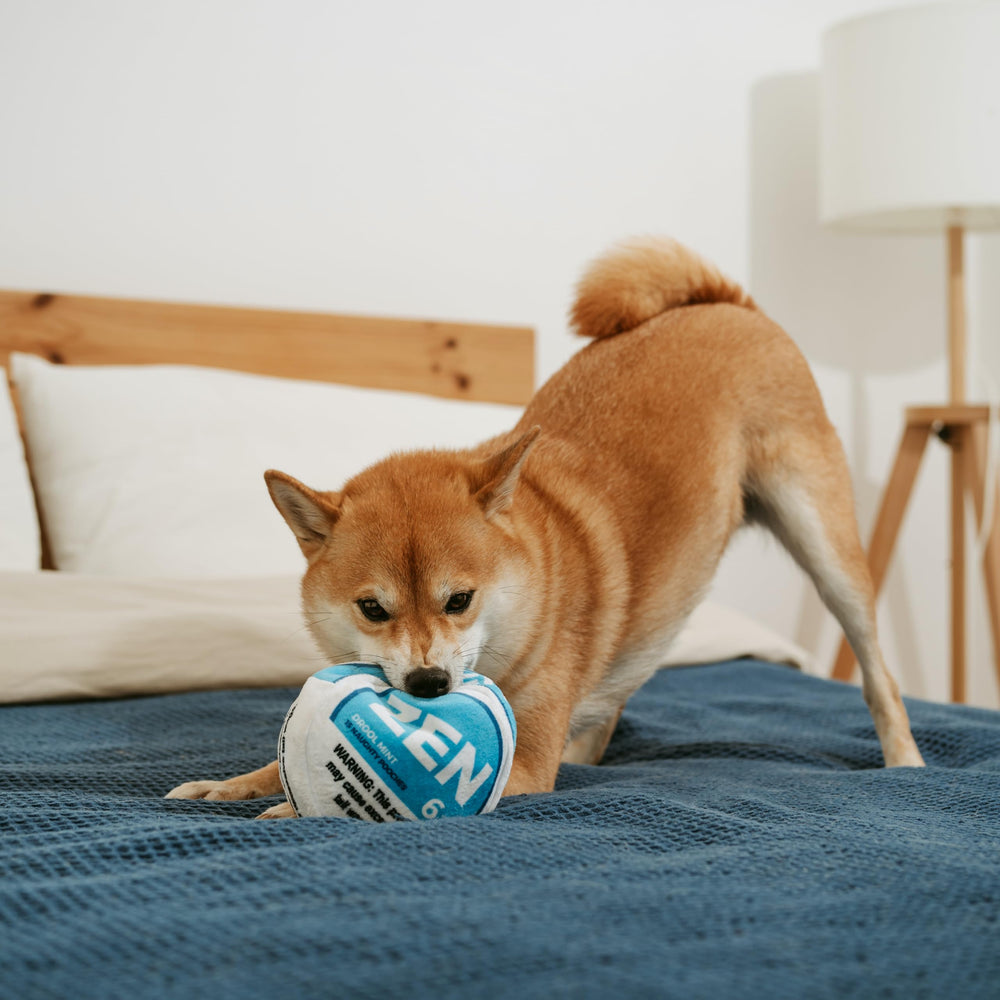 Nestpark Zen Pupper Deckies durable mesh lining shows rugged chew resistance