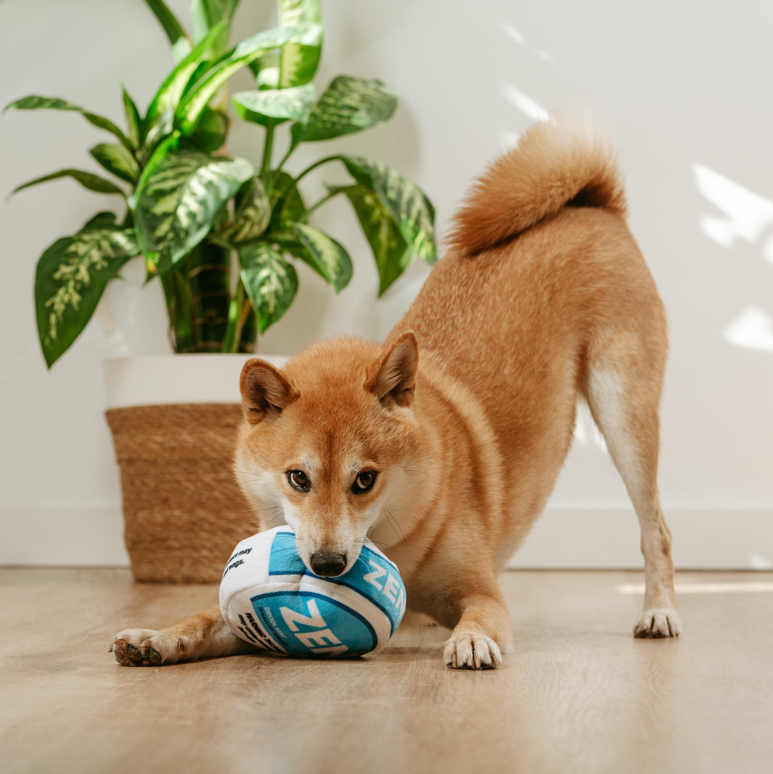 Nestpark Zen Pupper Deckies gift-ready moment showcases joy when unboxed