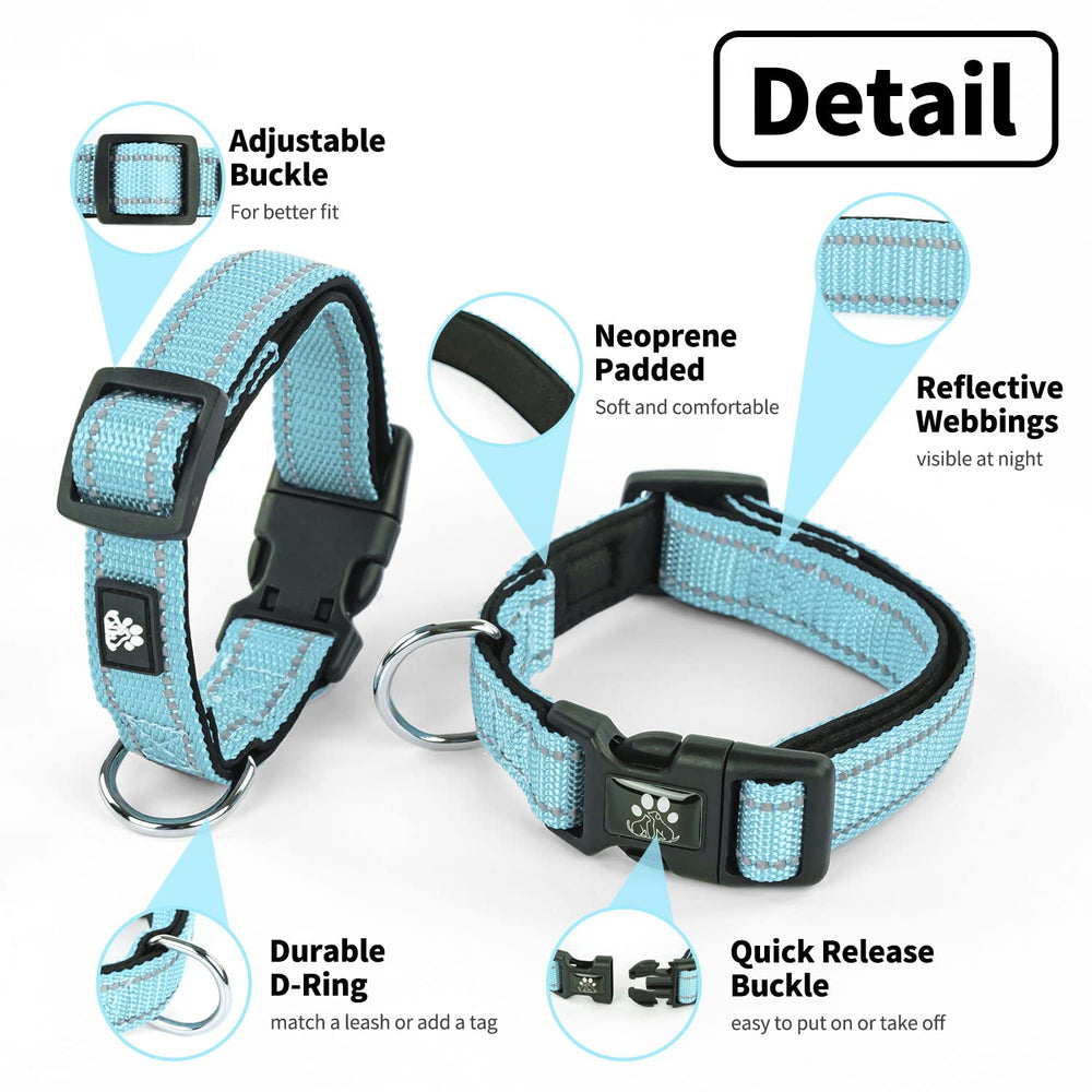 NESTROAD 5ft blue leash showcases sturdy nylon and easy handling.