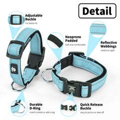 NESTROAD 5ft blue leash showcases sturdy nylon and easy handling.