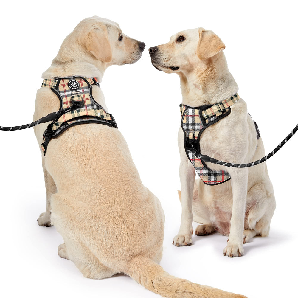 NESTROAD air mesh keeps your dog cool while wearing the harness.